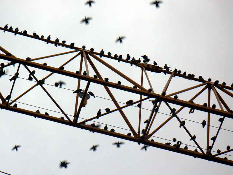 Toute puissance et&nbsp;fragilité