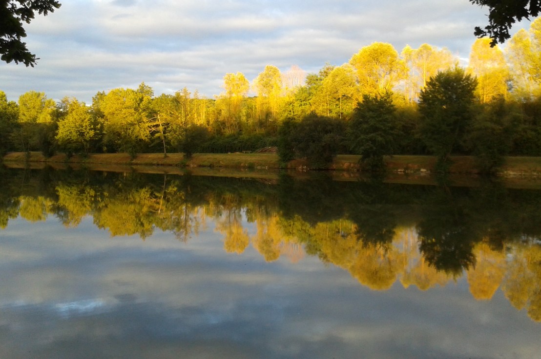 Pardonne nos indifférences