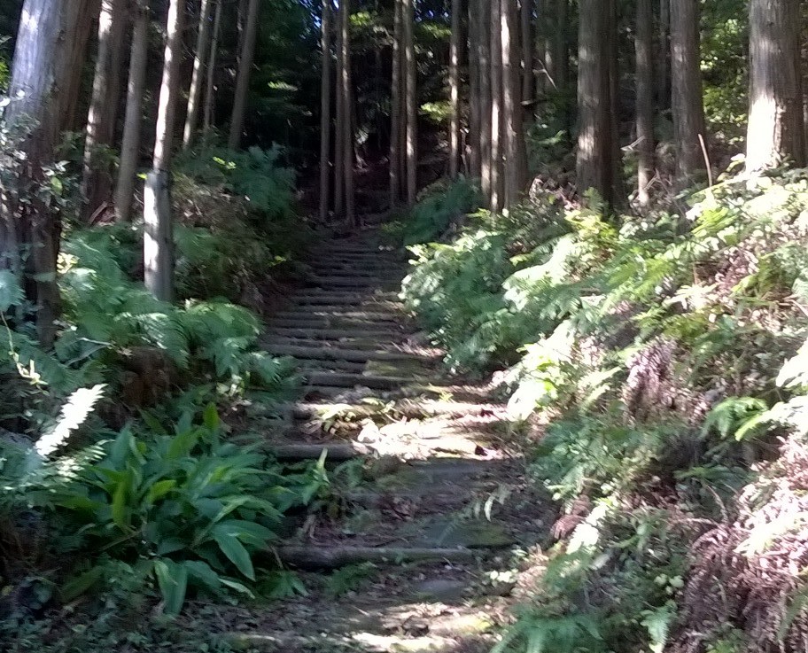 Tiens-nous dans la confiance&nbsp;!