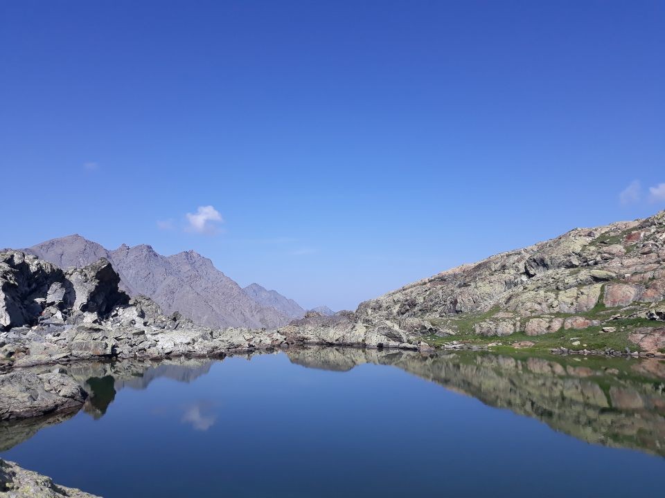 Offrir ce qui fait ma&nbsp;joie