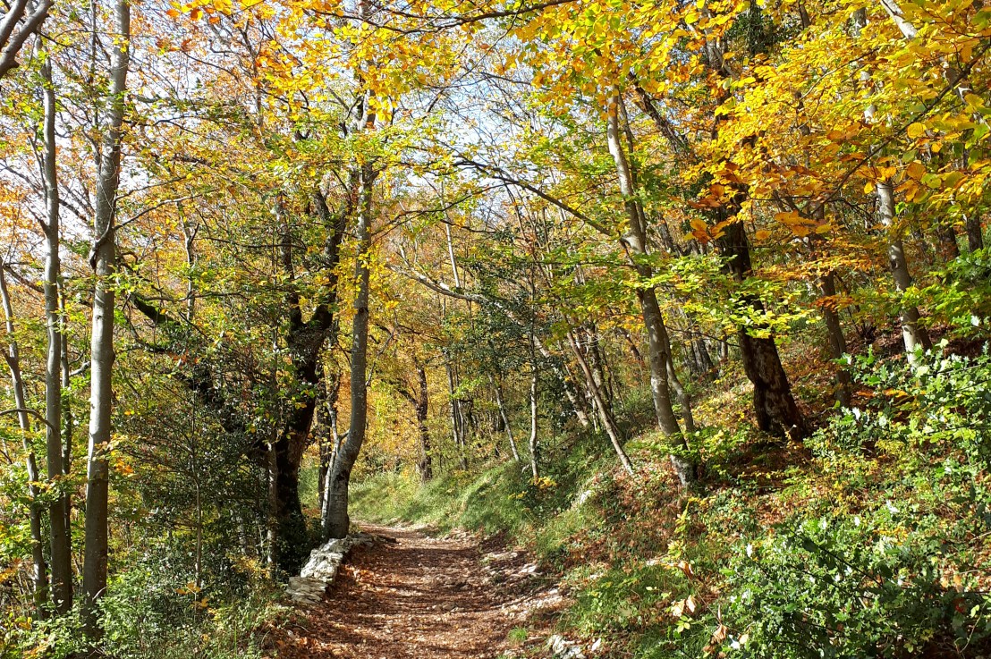 Dieu est du côté de&nbsp;l’Ouvert