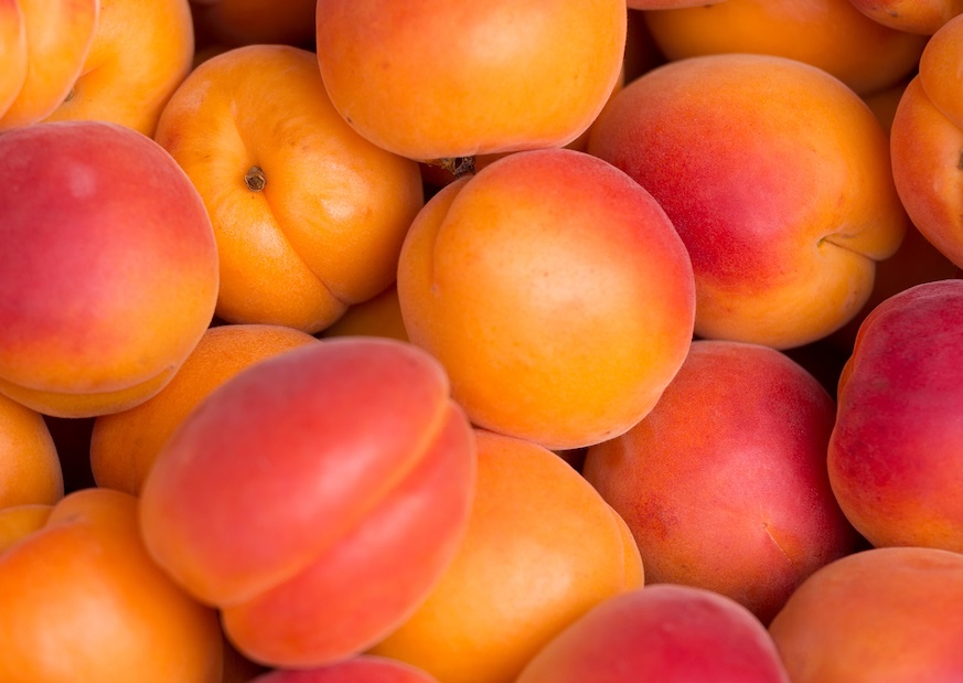 Le producteur d’abricots