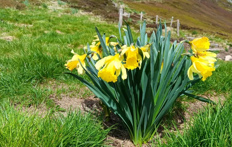 Le réel s&rsquo;ajuste au temps&nbsp;pascal